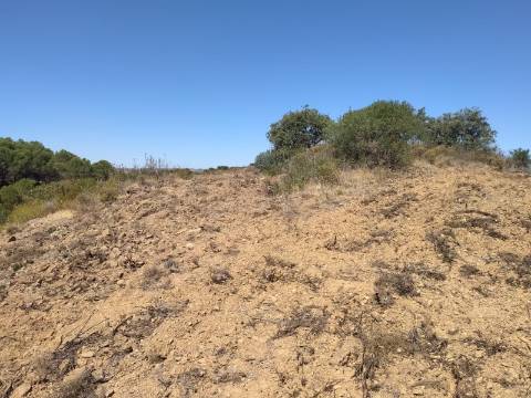 Terreno Rústico com 40000 m² com poço, Azinhal, Castro Marim