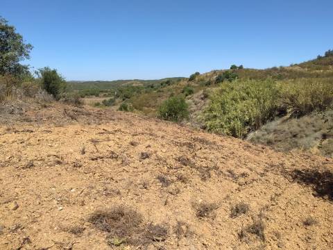Terreno Rústico com 40000 m² com poço, Azinhal, Castro Marim