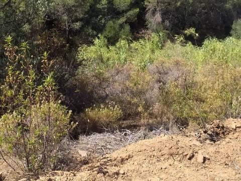 Terreno Rústico com 40000 m² com poço, Azinhal, Castro Marim