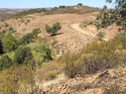 Terreno Rústico com 40000 m² com poço, Azinhal, Castro Marim