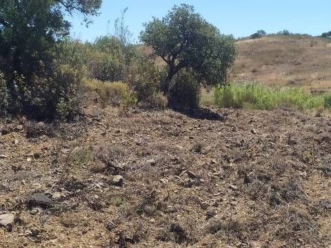 Terreno Rústico com 40000 m² com poço, Azinhal, Castro Marim