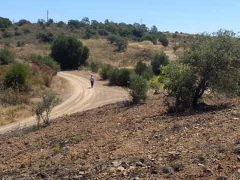 Terreno Rústico com 40000 m² com poço, Azinhal, Castro Marim