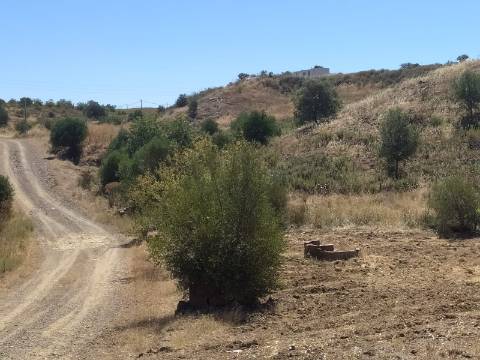 Terreno Rústico com 40000 m² com poço, Azinhal, Castro Marim