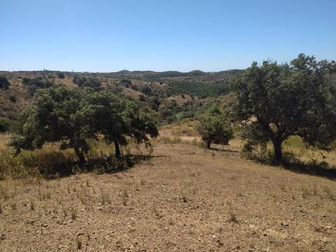 TERRENO RUSTICO COM 23000 M2 - COM POSSIBILIDADE DE CONSTRUÇÃO APOIO AGRICOLA AZINHAL CASTRO MARIM ALGARVE