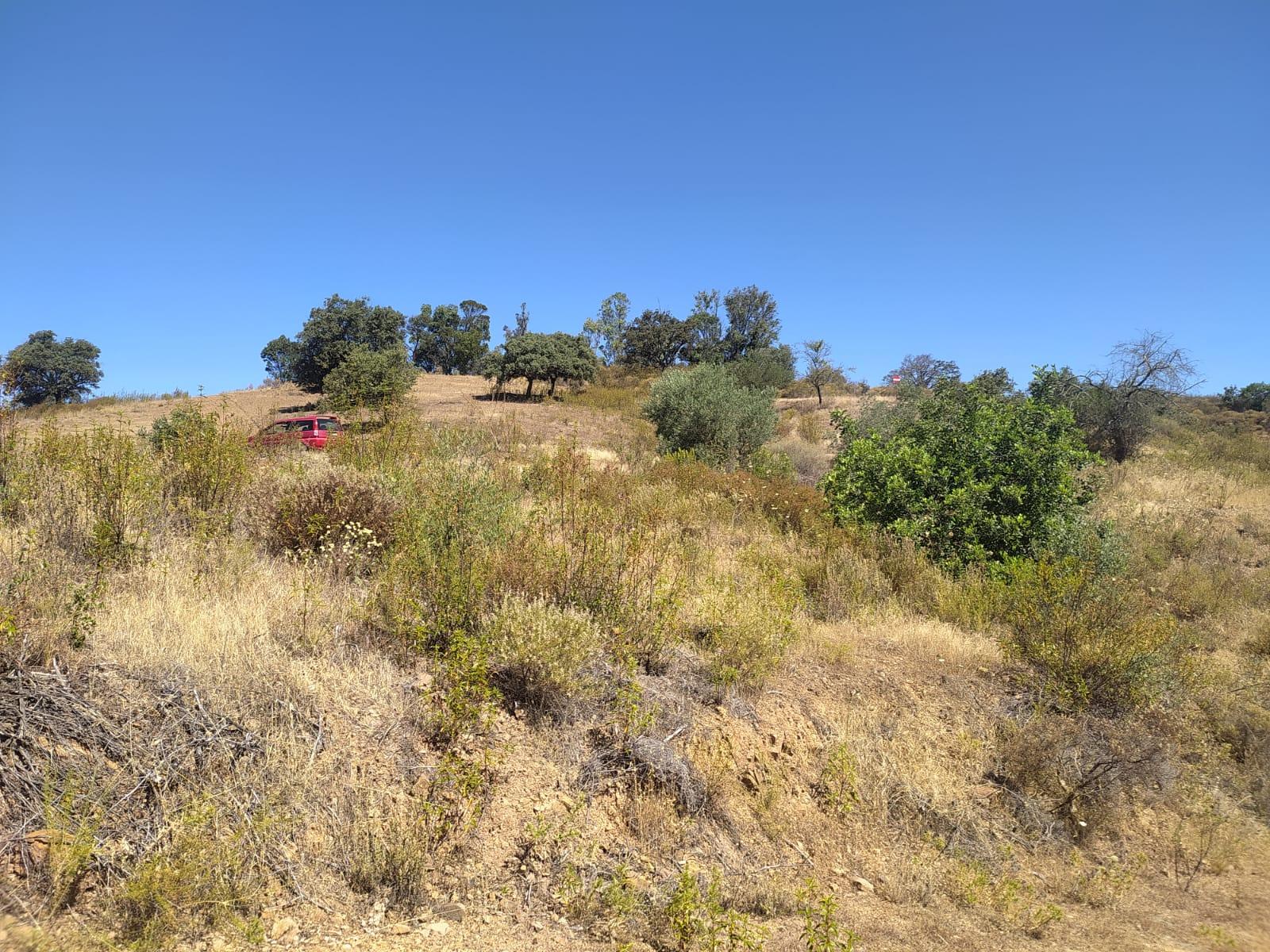 TERRENO RUSTICO COM 23000 M2 - COM POSSIBILIDADE DE CONSTRUÇÃO APOIO AGRICOLA AZINHAL CASTRO MARIM ALGARVE