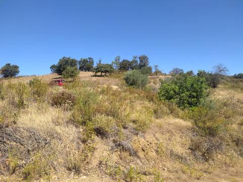 TERRENO RUSTICO COM 23000 M2 - COM POSSIBILIDADE DE CONSTRUÇÃO APOIO AGRICOLA AZINHAL CASTRO MARIM ALGARVE