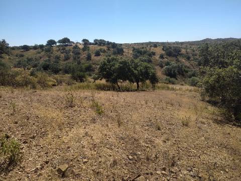 TERRENO RUSTICO COM 23000 M2 - COM POSSIBILIDADE DE CONSTRUÇÃO APOIO AGRICOLA AZINHAL CASTRO MARIM ALGARVE