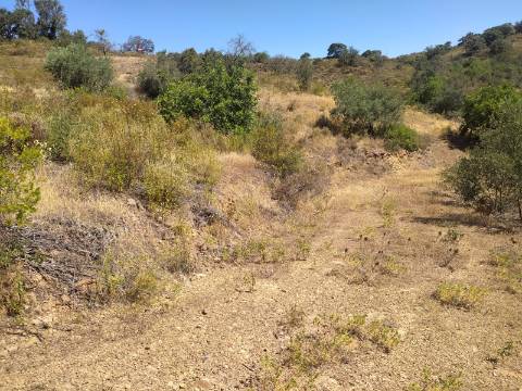TERRENO RUSTICO COM 23000 M2 - COM POSSIBILIDADE DE CONSTRUÇÃO APOIO AGRICOLA AZINHAL CASTRO MARIM ALGARVE