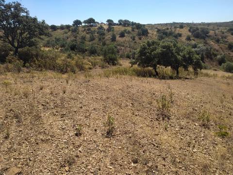 TERRENO RUSTICO COM 23000 M2 - COM POSSIBILIDADE DE CONSTRUÇÃO APOIO AGRICOLA AZINHAL CASTRO MARIM ALGARVE