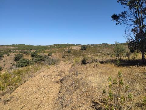 TERRENO RUSTICO COM 23000 M2 - COM POSSIBILIDADE DE CONSTRUÇÃO APOIO AGRICOLA AZINHAL CASTRO MARIM ALGARVE