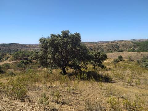 TERRENO RUSTICO COM 23000 M2 - COM POSSIBILIDADE DE CONSTRUÇÃO APOIO AGRICOLA AZINHAL CASTRO MARIM ALGARVE