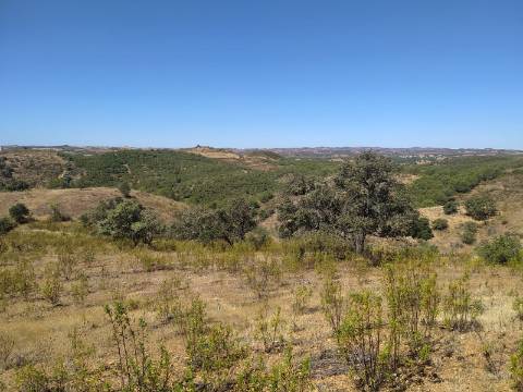 TERRENO RUSTICO COM 23000 M2 - COM POSSIBILIDADE DE CONSTRUÇÃO APOIO AGRICOLA AZINHAL CASTRO MARIM ALGARVE