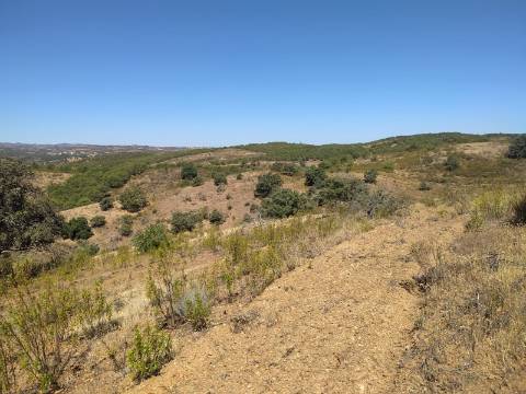 TERRENO RUSTICO COM 23000 M2 - COM POSSIBILIDADE DE CONSTRUÇÃO APOIO AGRICOLA AZINHAL CASTRO MARIM ALGARVE