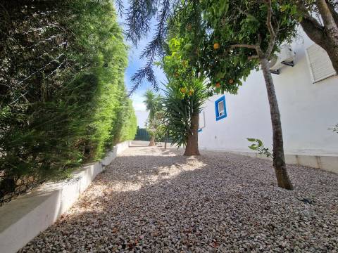 Magnífica e luxuosa moradia T4 com piscina e magnifica área exterior