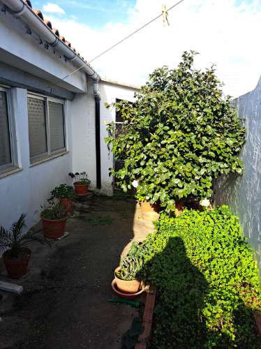 JF- Apresenta em Exclusivo casa térrea na Freguesia de Santana, Distrito Évora, Concelho de Portel.