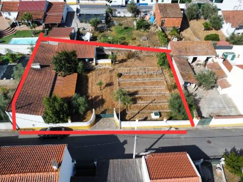 Excelente Terreno todo murado com área de 600 m2 

Distrito de Portalegre Concelho de Alter do Chão freguesia de Chancelaria Chança.
