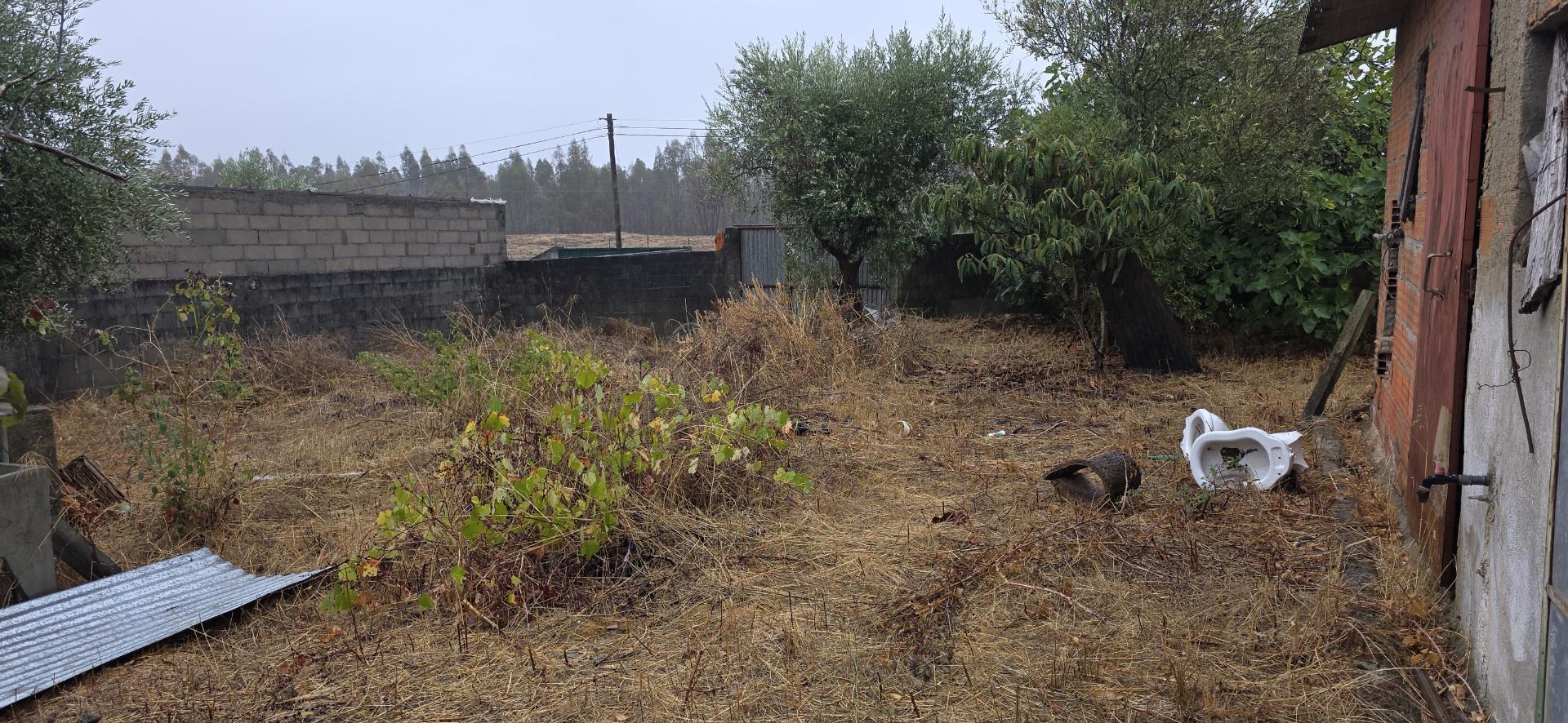 JF Apresenta em exclusivo esta excelente casa