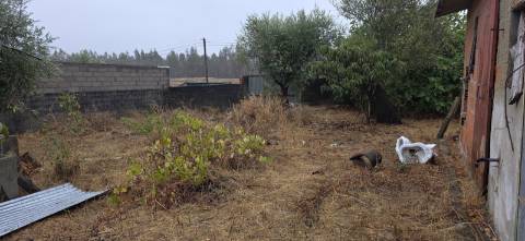 JF Apresenta em exclusivo esta excelente casa