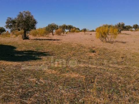 Terreno, 4h, Baleizão