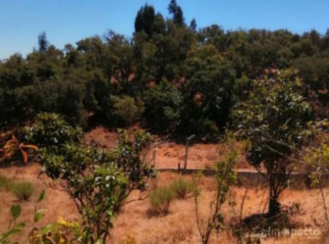 Quinta, 21 000 m2, Corte Malhão