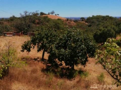 Quinta, 21 000 m2, Corte Malhão