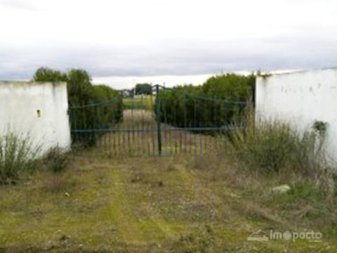 Terreno 7 000m2, Beja