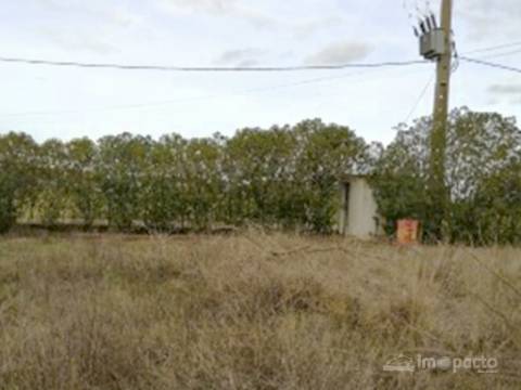 Terreno 7 000m2, Beja