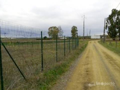 Terreno 7 000m2, Beja