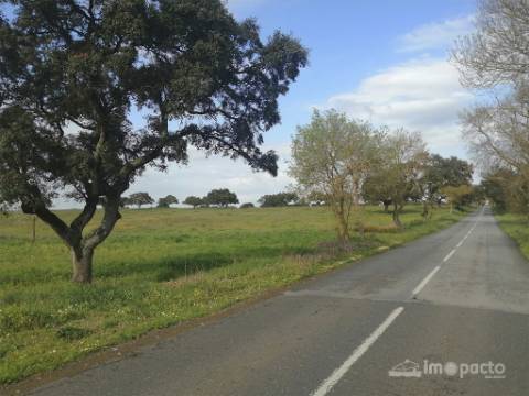 Herdade 47 ha, Alfundão