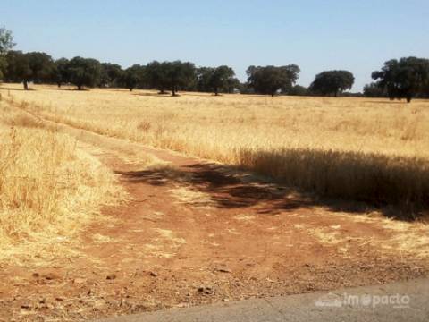 Herdade 47 ha, Alfundão