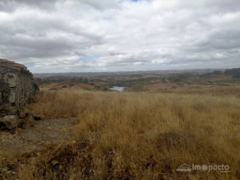 Herdade, 190 ha, Almodôvar
