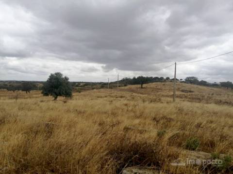 Herdade, 190 ha, Almodôvar