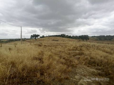 Herdade, 190 ha, Almodôvar