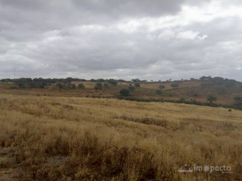 Herdade, 190 ha, Almodôvar
