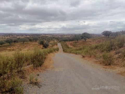 Herdade, 190 ha, Almodôvar
