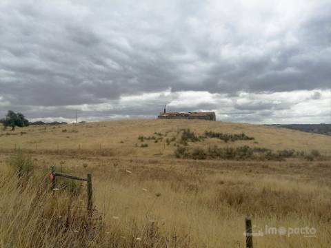 Herdade, 190 ha, Almodôvar