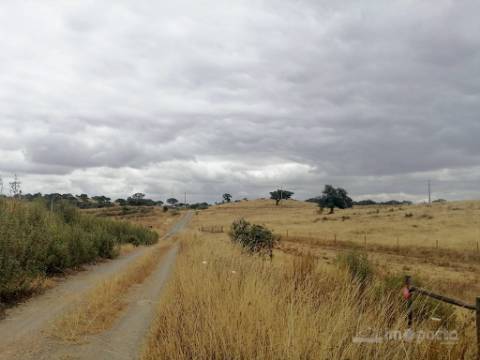 Herdade, 190 ha, Almodôvar