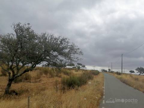 Herdade, 190 ha, Almodôvar