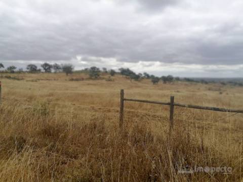 Herdade, 190 ha, Almodôvar