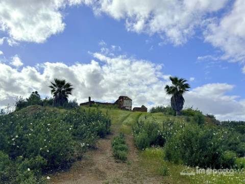 Herdade 45 ha, Corte Pinto-Mertola