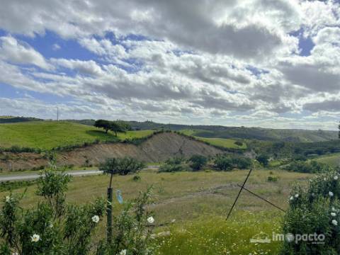 Herdade 45 ha, Corte Pinto-Mertola