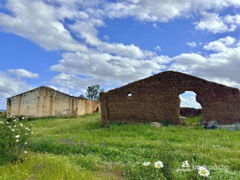 Herdade 45 ha, Corte Pinto-Mertola