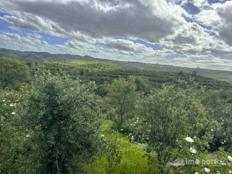 Herdade 45 ha, Corte Pinto-Mertola