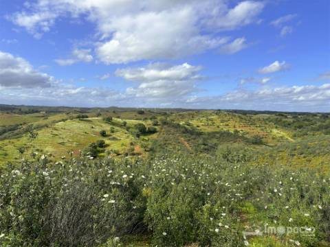 Herdade 45 ha, Corte Pinto-Mertola