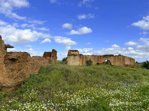Herdade 45 ha, Corte Pinto-Mertola