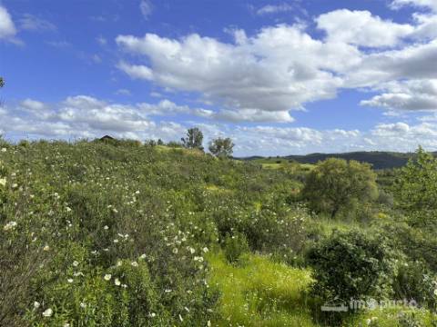 Herdade 45 ha, Corte Pinto-Mertola