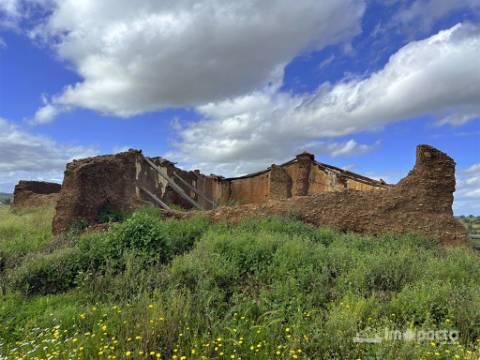 Herdade 45 ha, Corte Pinto-Mertola