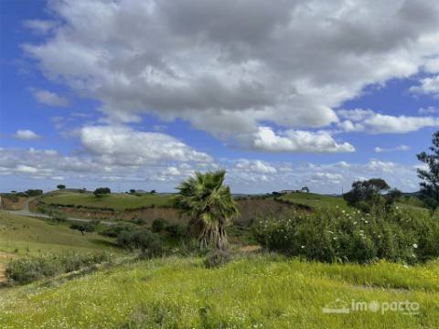 Herdade 45 ha, Corte Pinto-Mertola