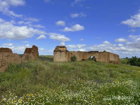 Herdade 45 ha, Corte Pinto-Mertola
