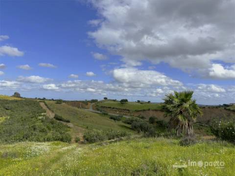 Herdade 45 ha, Corte Pinto-Mertola